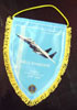 fanion personalizat CLUB LIONS -